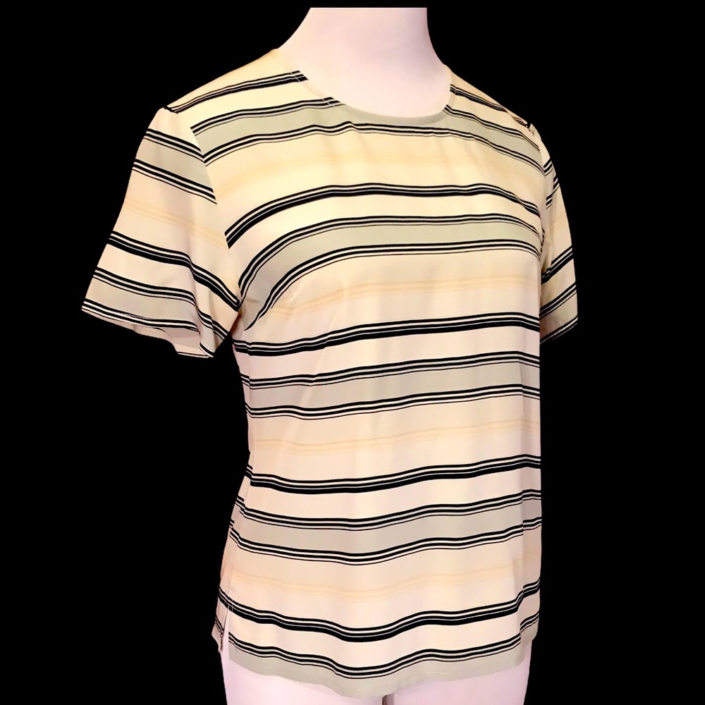 Silk Short Sleeve Stripe Blouse Top
